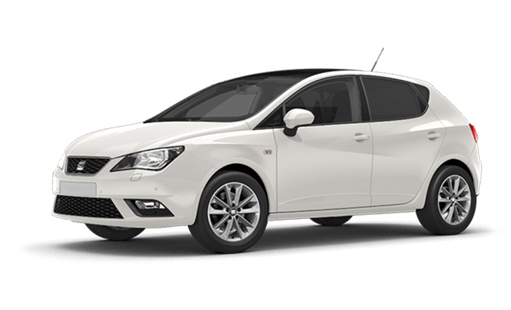 Seat Ibiza TGI