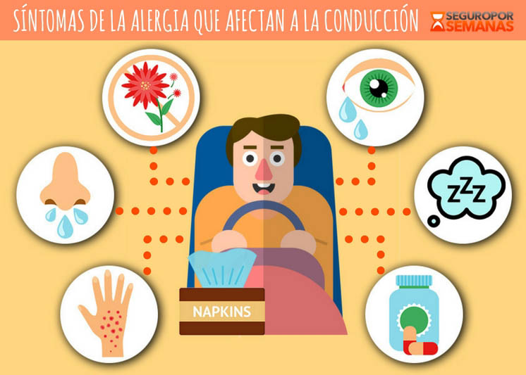 Infografía de los síntomas de la alergia que afectan a tu conducción