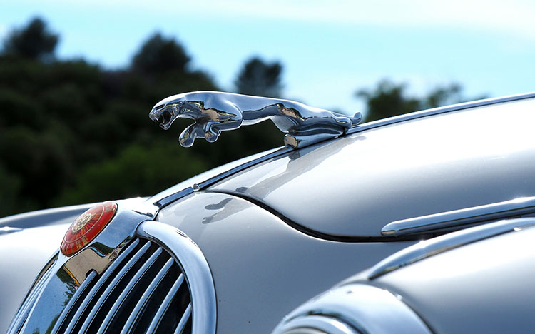 Historía de Jaguar: cómo surgen sus coches
